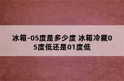 冰箱-05度是多少度 冰箱冷藏05度低还是01度低